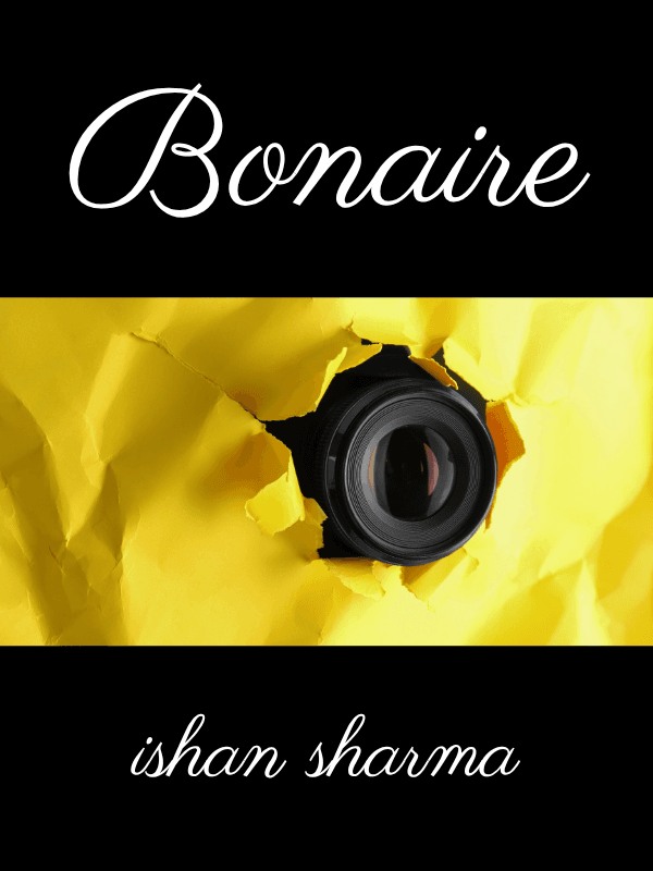 Bonaire book cover
